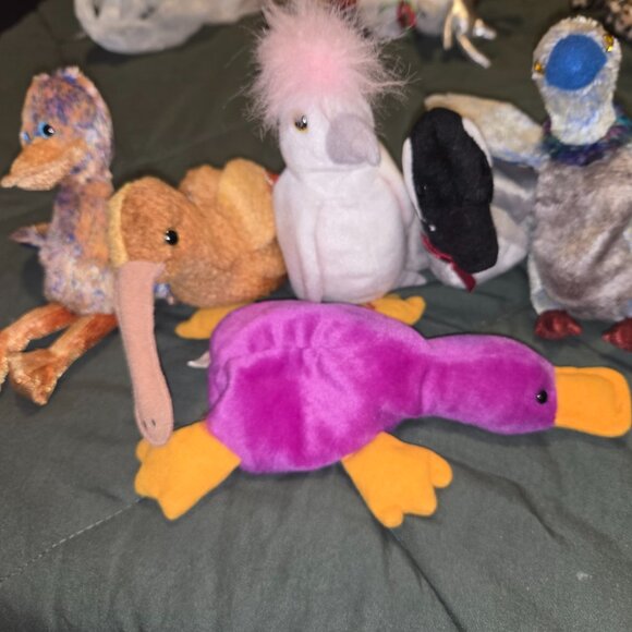 Collection of Beanie Babie - Picture 9 of 16